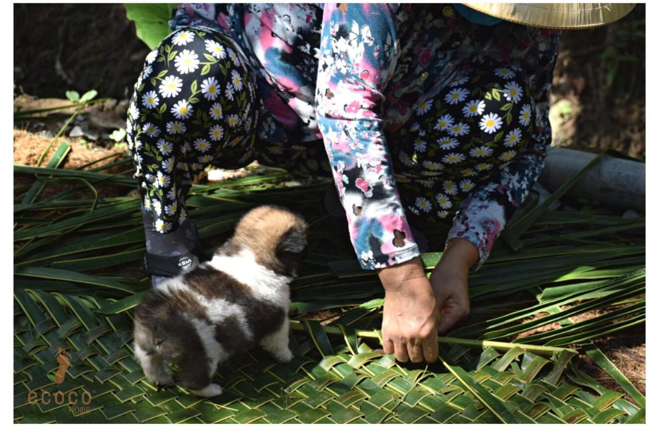 Ecoco Homestay Mekong Ben Tre Dış mekan fotoğraf