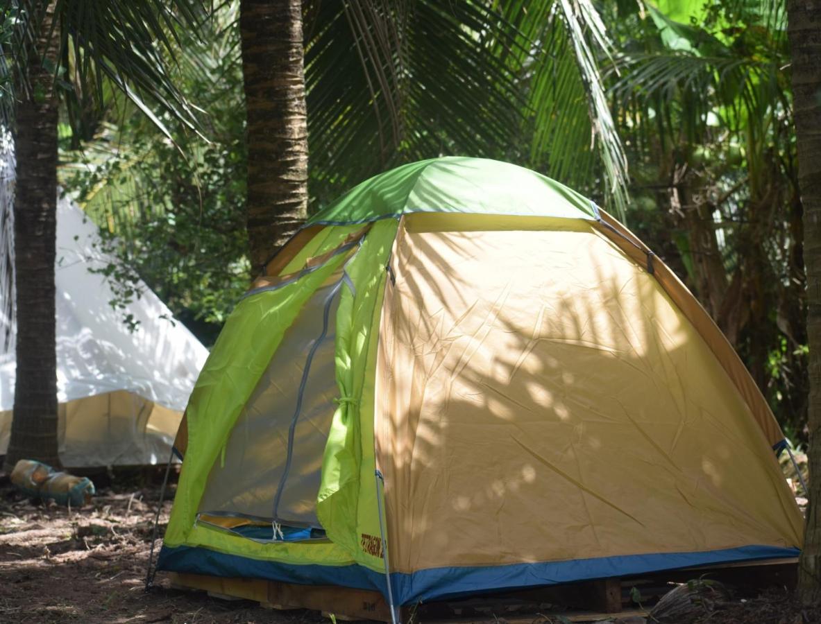 Ecoco Homestay Mekong Ben Tre Dış mekan fotoğraf