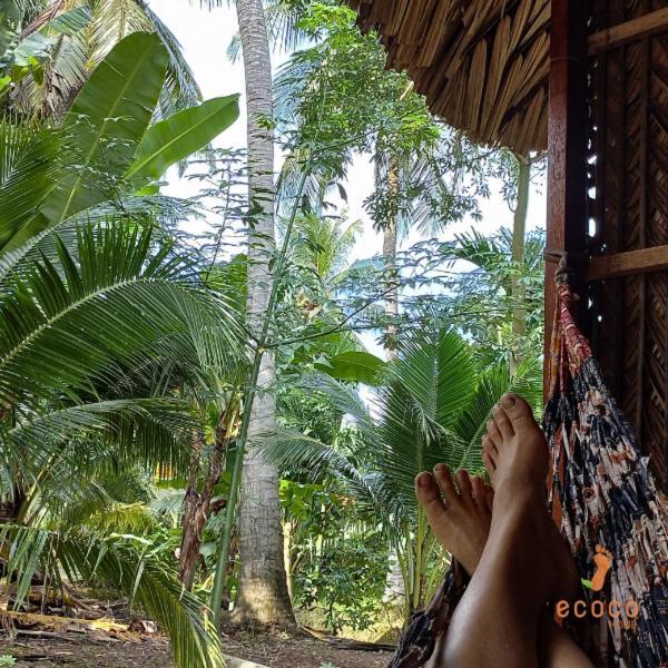 Ecoco Homestay Mekong Ben Tre Dış mekan fotoğraf