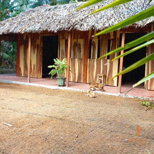 Ecoco Homestay Mekong Ben Tre Dış mekan fotoğraf